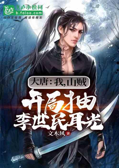疯狂的小偷